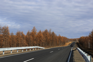 дорога