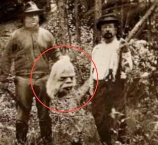 Мистические и загадочные случаи