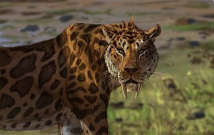 Схватки динозавров!