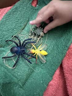 Занятия дома 