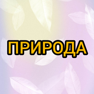 Природа