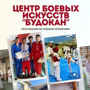 Наши тренеры