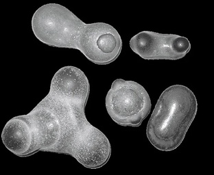 Феномены природы