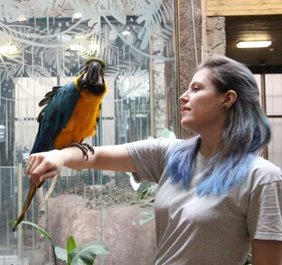 Современный зоопарк