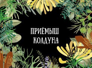 Приёмыш колдуна