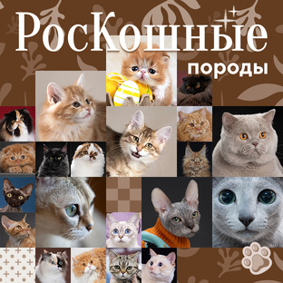 РосКошные породы