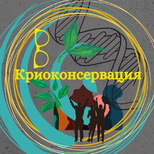 Криоконсервация