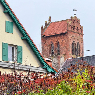 Поездка в Калининградскую область 2025