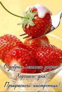 Все обо всем