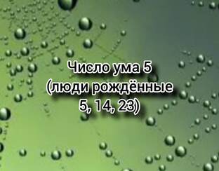 нумерология