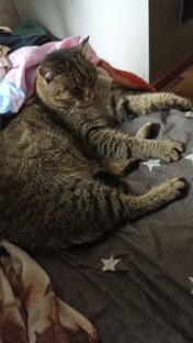 Интересно Рубрика