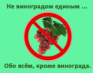 Не виноградом единым...
