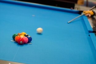 Вечнозелёные статьи