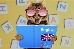 Фразы на английском языке 