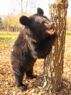 Фото встречи с животными
