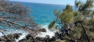 Путешествия