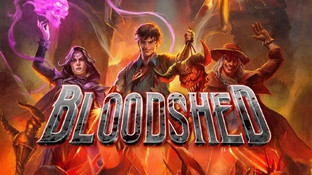 Bloodshed 