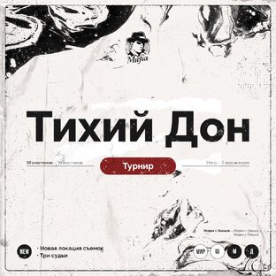Турнир "Тихий Дон"