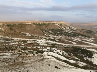 Орджоникидзе 2024