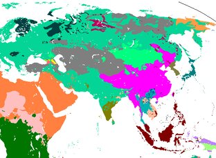 Языки и народы