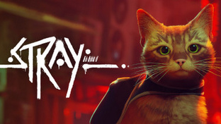 Прохождение Stray (100%)