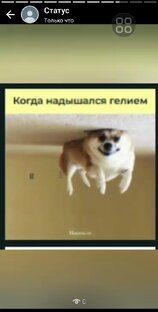 Приколы