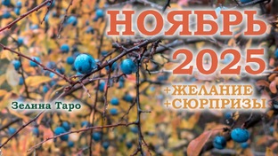 Ноябрь 2025