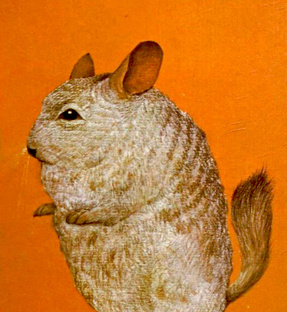 Копилка чепухи