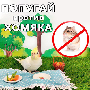 Сериал "Попугай против хомяка"