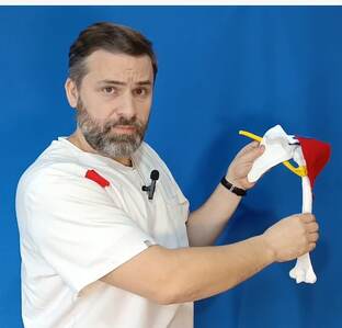 Реабилитация плеча