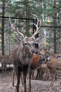 Заповедники и зоопарки