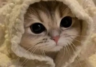 Прикольные рисунки по заказу)) 