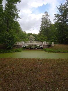 Прогулки.