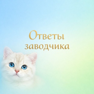 Ответы заводчика