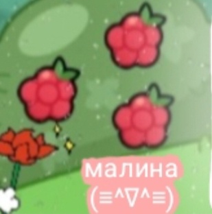 клипы) 