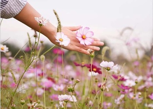 Отдохнуть в деревенской глуши