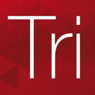 Triangulatica