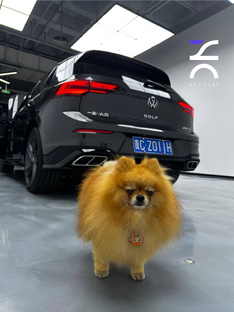 NetCars: обзоры авто до 160 сил 