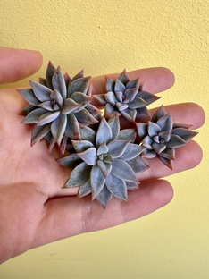 Распаковки