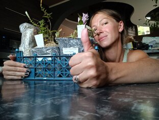 Новинки растений и посевная)