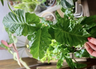 БАЗА ЗНАНИЙ