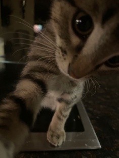 хорошо провести время 