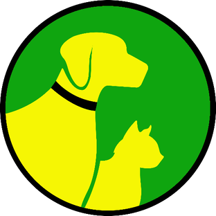 Новости магазина