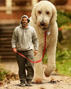 Интересные фото