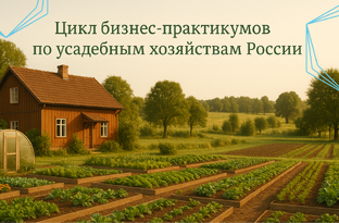 Цикл бизнес-практикумов