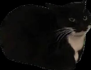 Петля времени