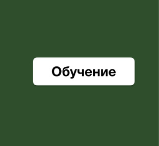 Обучение