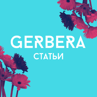 Статьи от Герберы