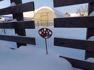 День за днём - 2026