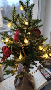 Годовой расклад - 2026